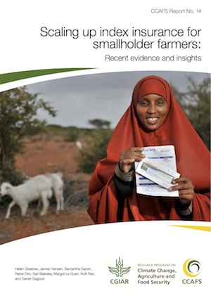 Scaling up index insurance for smallholder farmers: recent evidence and insights